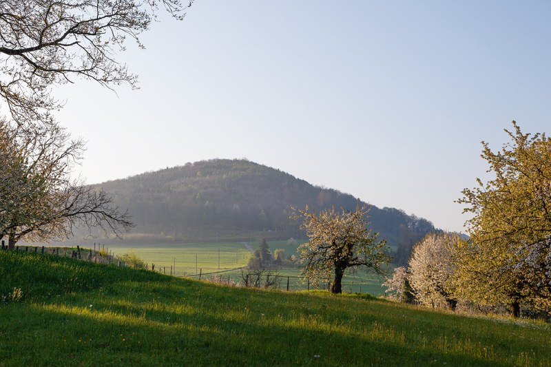 Büechlihau, Landschaft