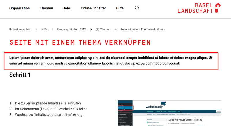 Lead Bild