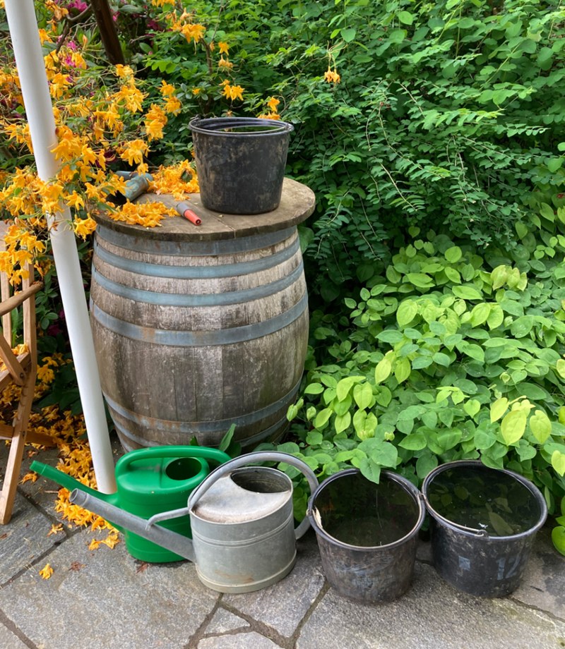 Gefässe wie Spritzkannen, Eimer und Regentonnen sollten im Winter geleert und mit einer Bürste gereinigt werden, um Tigermückeneier zu entfernen. Die Eier würden sonst den Winter überstehen. Gefässe umdrehen, verräumen oder abdecken.