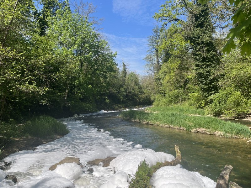 Füllinsdorf / Pratteln / Augst: Schaum auf der Ergolz unterhalb des Hülftenfalls