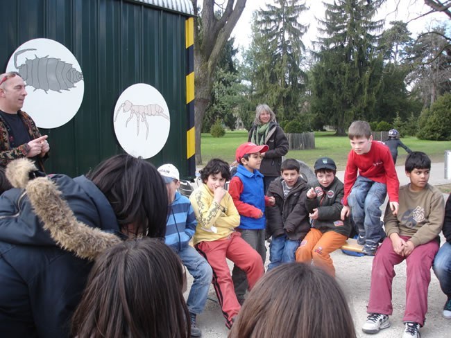 mit-bud_2009-03-24_schulklasse.jpg