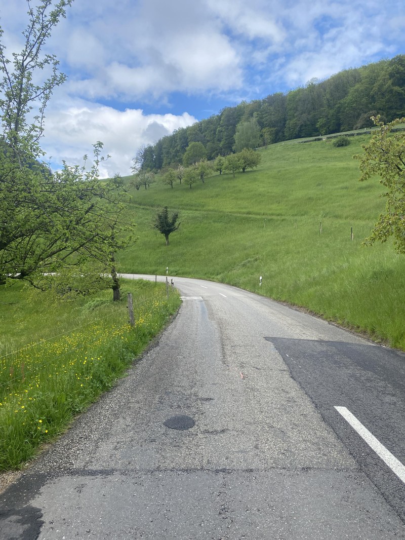 Landstrasse mit weisser Fahrbahnmarkierung neben grünen Wiesen und Bäumen unter blauem Himmel mit Wolken