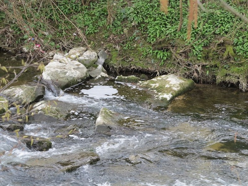 2016-03-31_mm_schaumbildung_ergolz.jpg