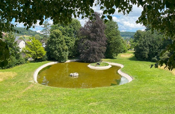 Sissach: Weihersanierung und Baumfällung im Schlosspark Ebenrain