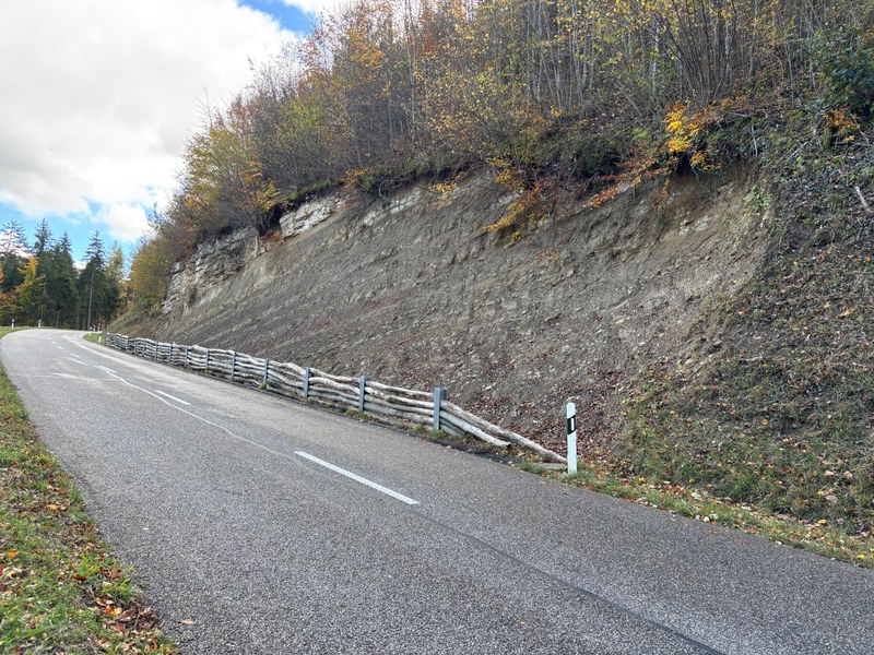 Leere Landstrasse mit Leitplanke aus Holzstämmen neben einem steilen, bewaldeten Erdhang im Herbst.