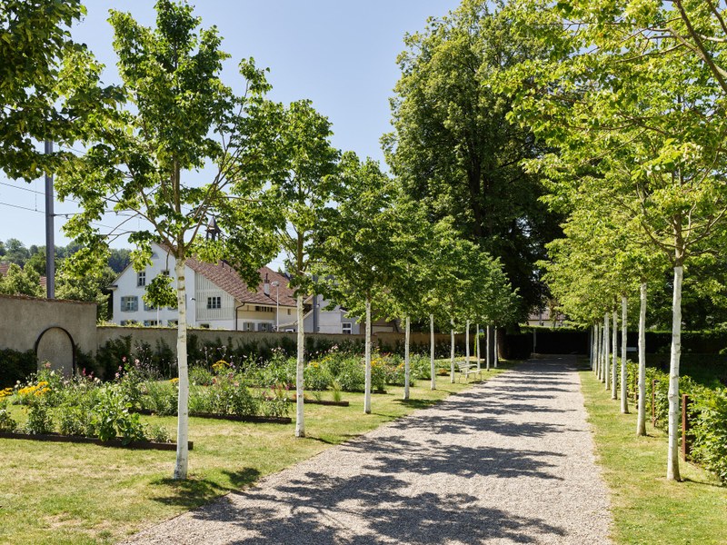 Park im Weiherschloss Bottmingen (Foto: Georg Aerni)
