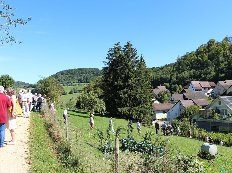 Eine Gruppe befindet sich auf dem Dorfrundgang in Wintersingen