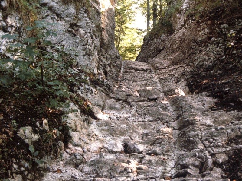 Karrengeleise in Steinweg durch den Wald