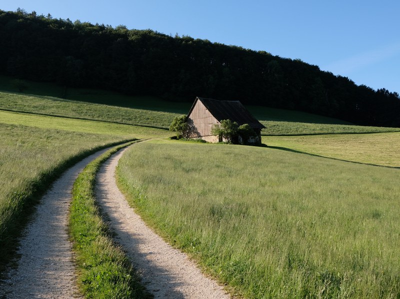 Rundgang ums Kloster: Kulturlandschaft, Feldscheunen und Lebhäge