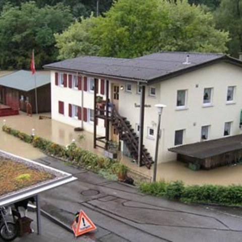 Bild