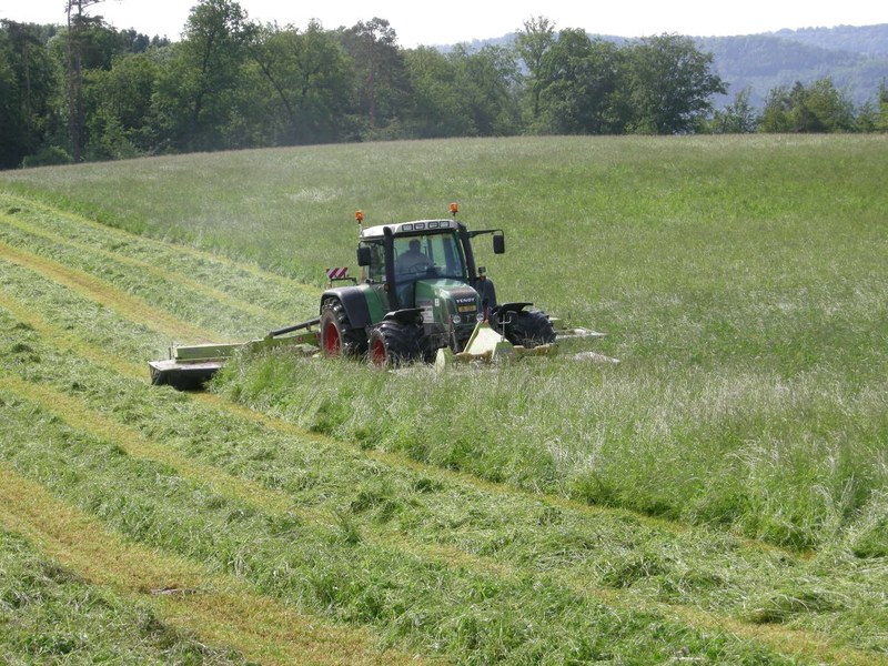 Landwirtschaft