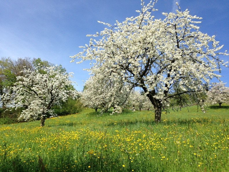 Klimastrategie BL