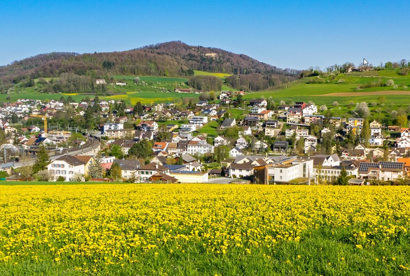 Organisation und Ausblick