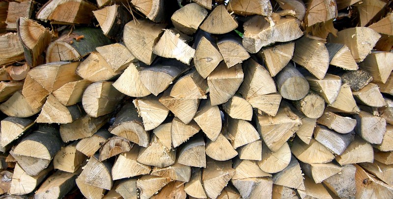 Biomasse