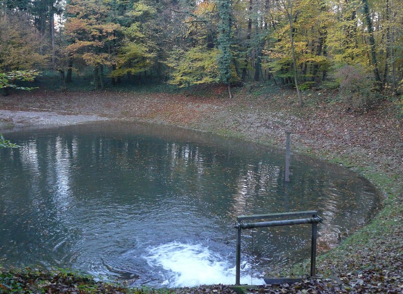 Einleitung