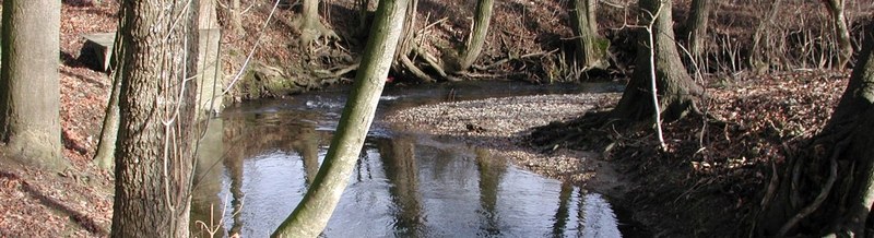 Natürliche Gewässerfunktionen der Gewässer