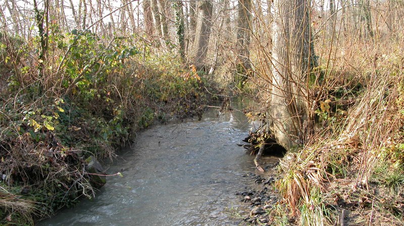Probenahmestelle Mülibach