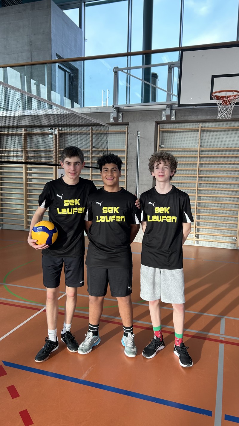 Bild Volleyball