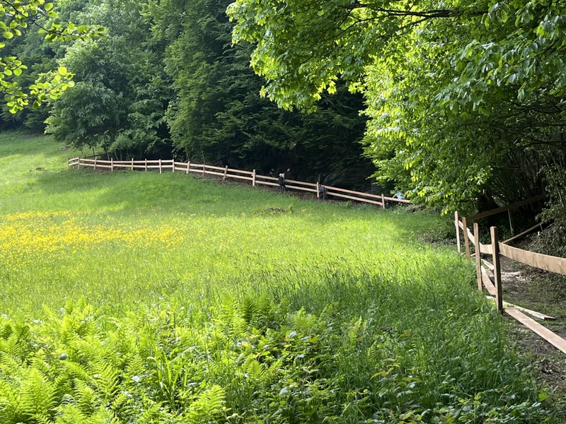 Sommerlager 2025 2EeZ und 2EfZ in Flumserberg