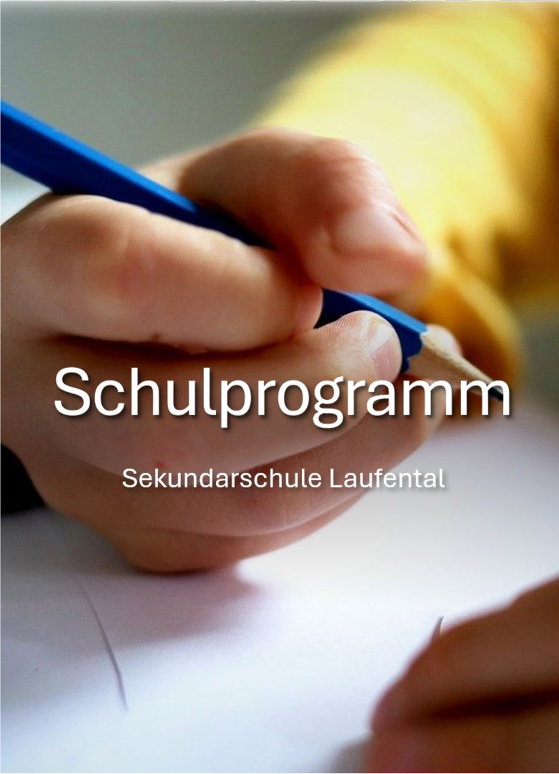 Schulprogramm pdf