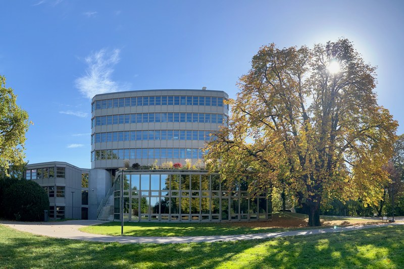 Fachmittelschule und Fachmaturität