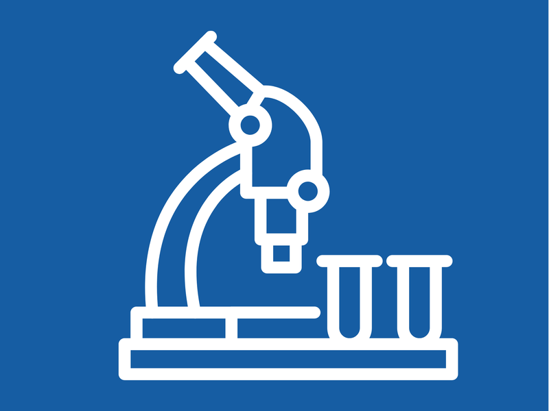 Hochschulen