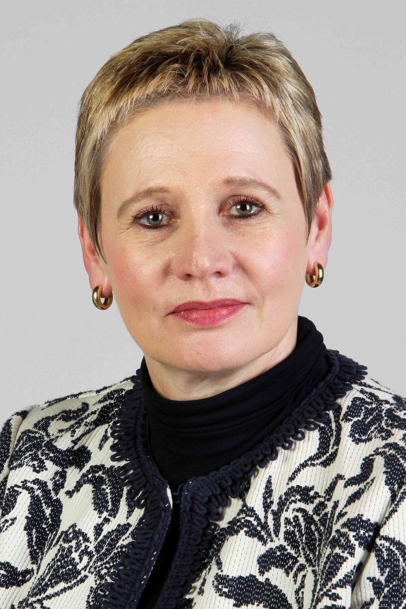 Lebenslauf: Doris Fellenstein