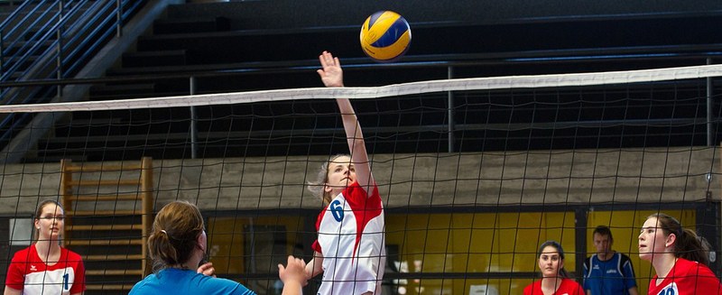 Starke Allschwiler bei der 39. Auflage