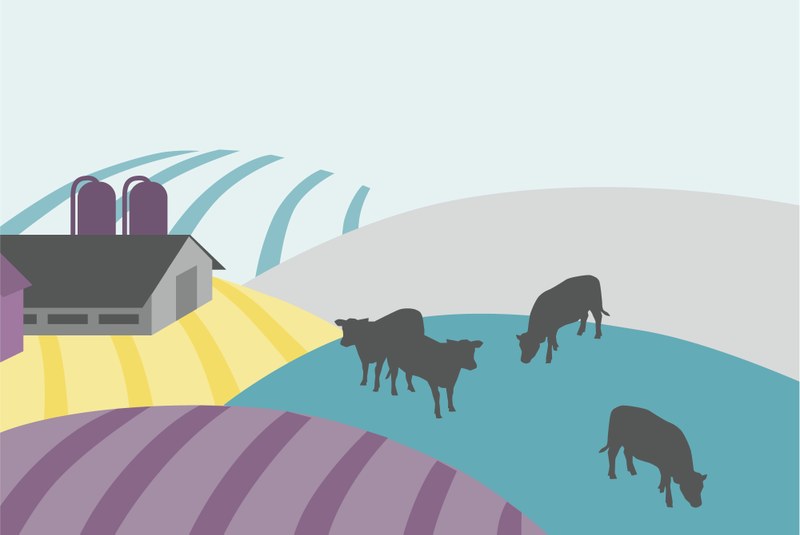 Bild Landwirtschaftsbetriebe
