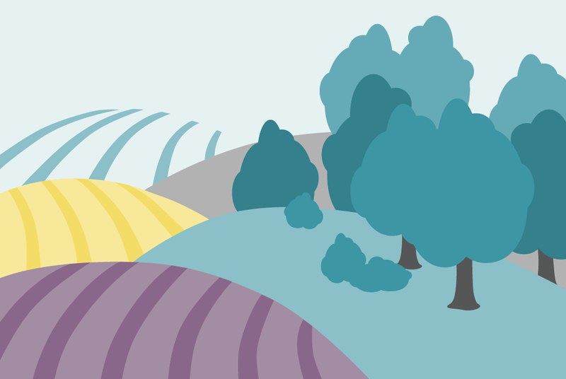 7 Land- und Forstwirtschaft