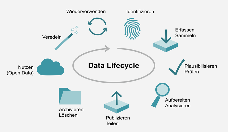 Data Lifecycle