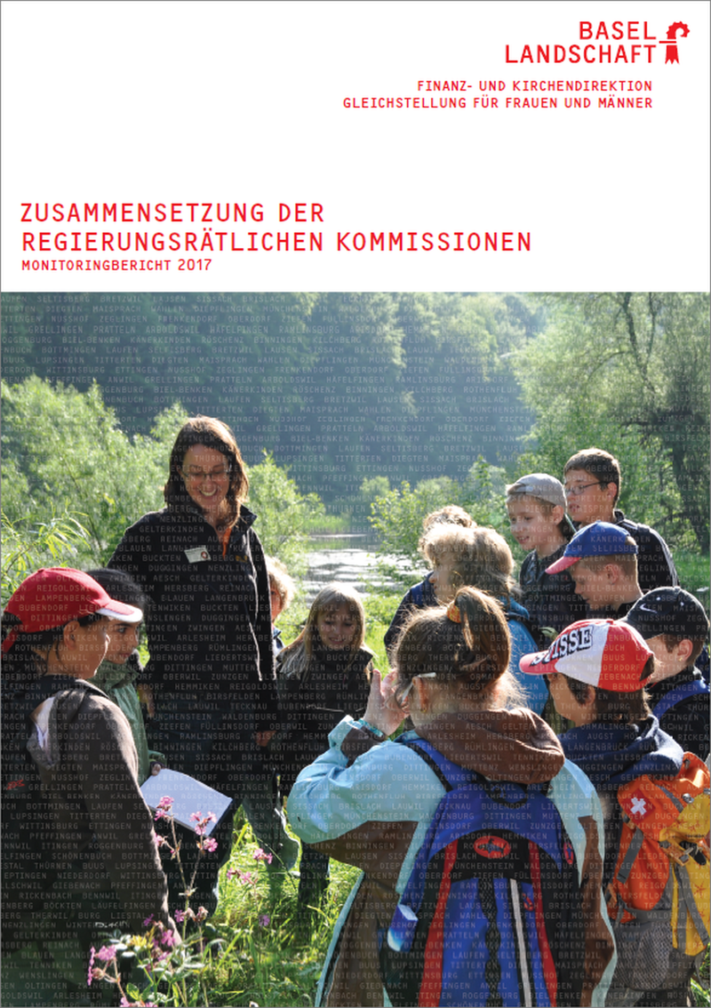 Monitoringbericht 2017