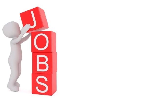 Bild Jobs