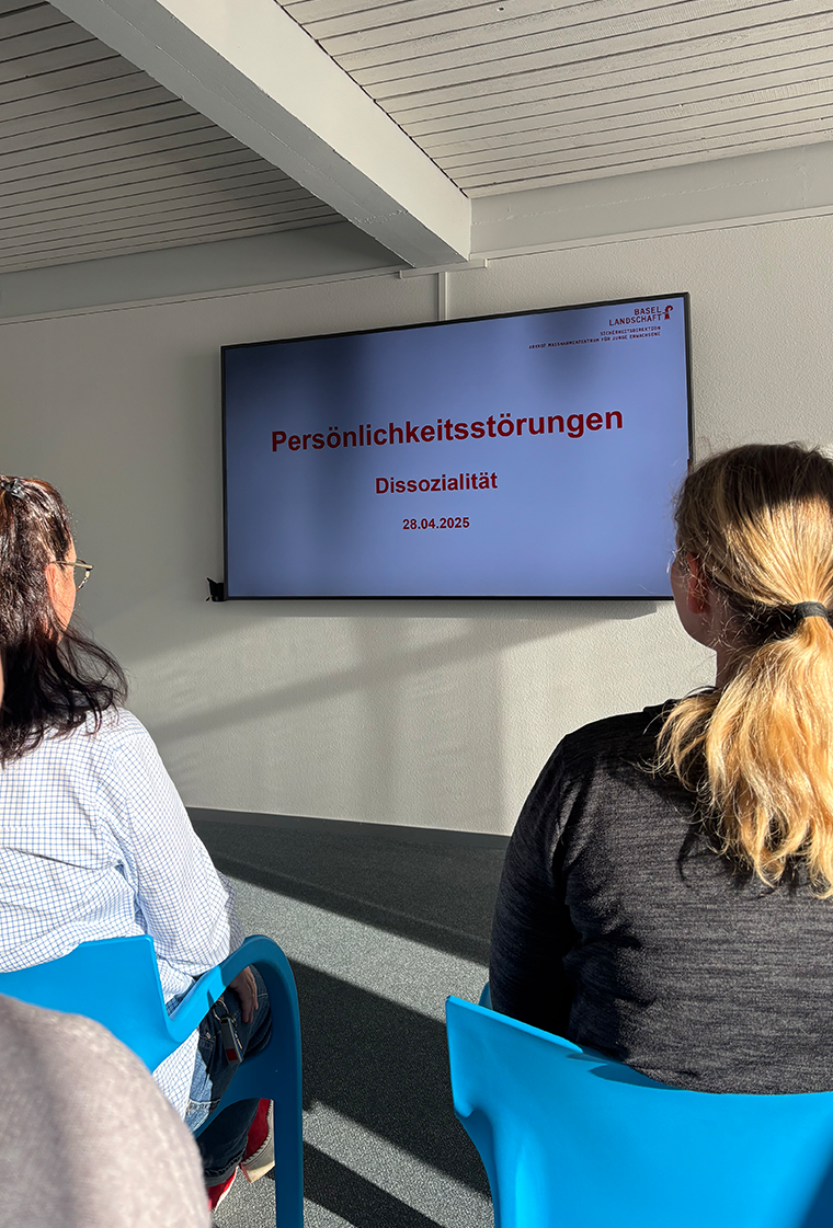 Interne Weiterbildungen: Gemeinsam verstehen – gemeinsam wirksam behandeln