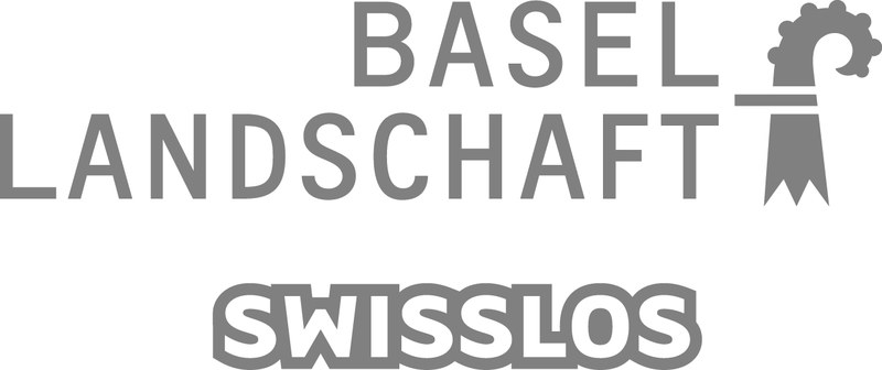 Logo grau (RGB, jpg)