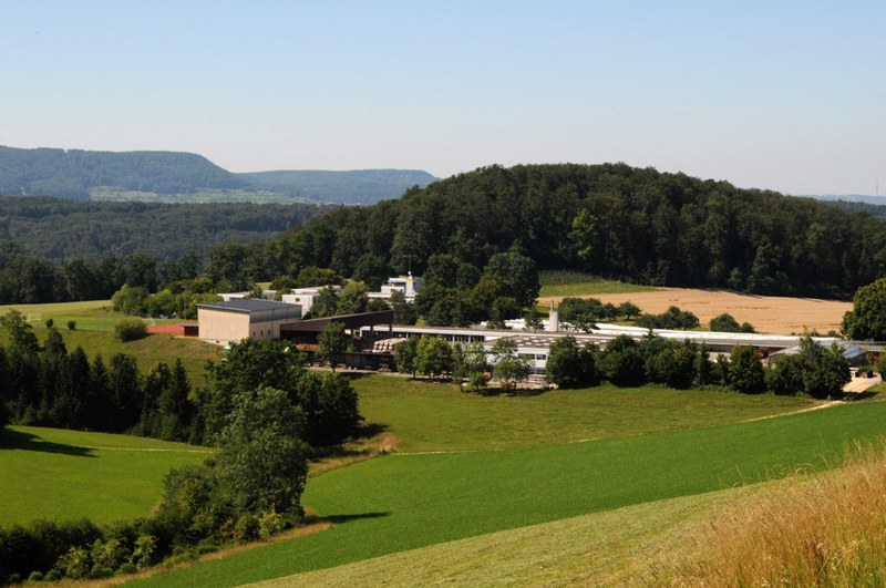 Arxhof, Massnahmenzentrum für junge Erwachsene, Niederdorf BL