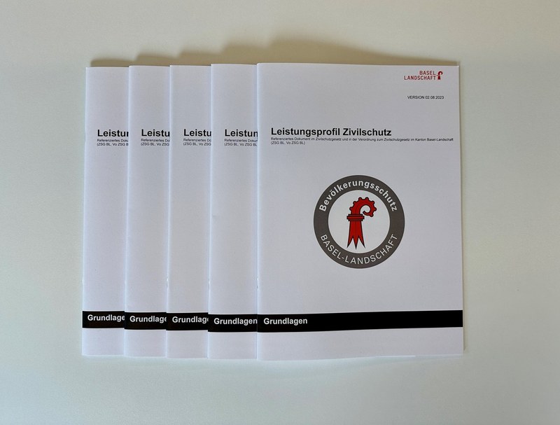 Leistungsprofil