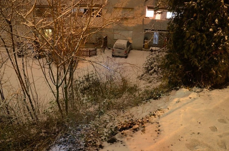 072_1_02.jpg