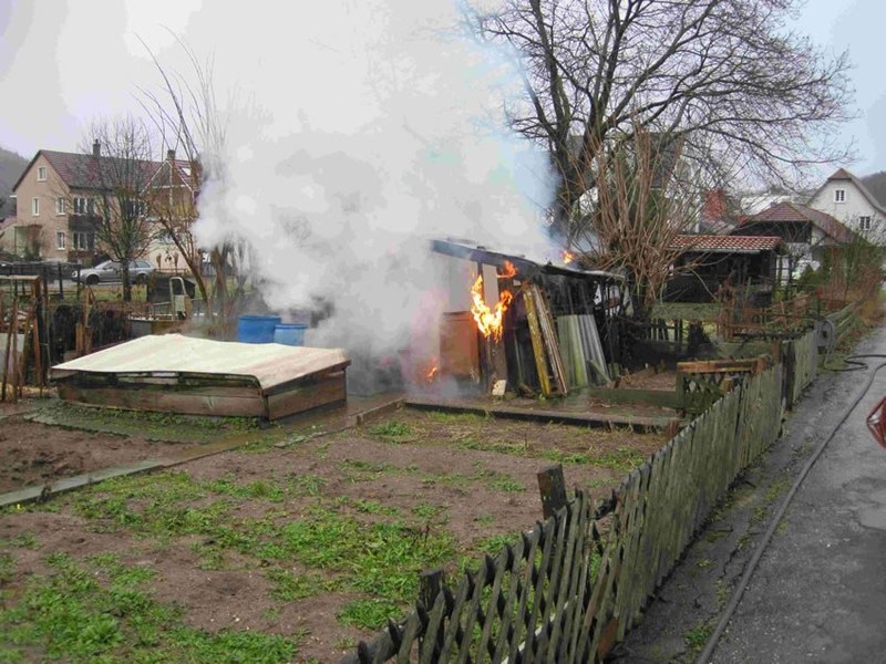 1036_1.jpg