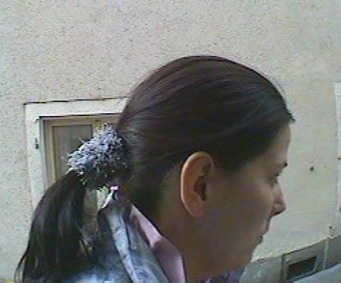 108_2.jpg