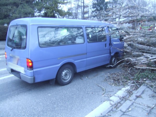 112_2.jpg