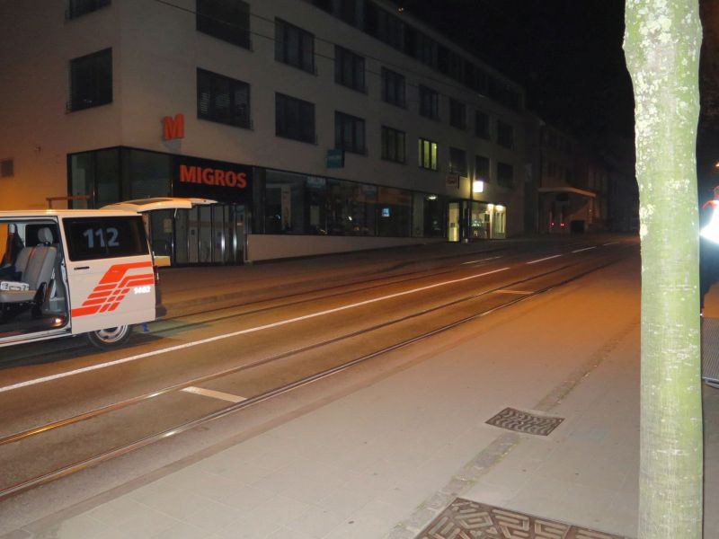 binningen_115_selbstunfall_radfahrerin_1_03042016.jpg