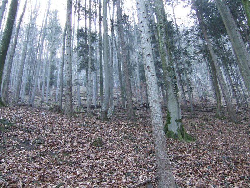 146_1.jpg