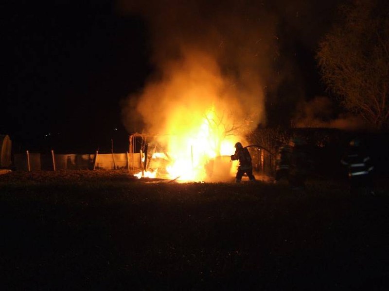 csm_reinach_248_brand_gartenhaus_3_140412_a437ad32.jpg