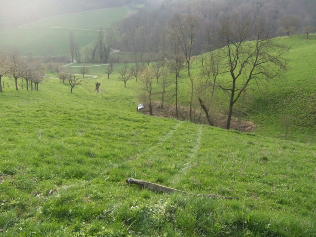 259_01.jpg