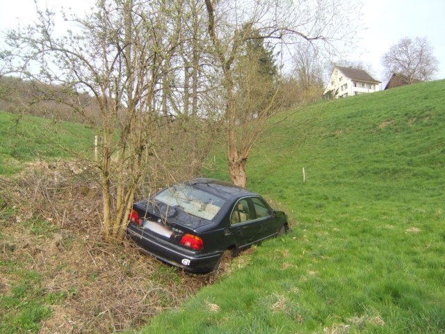 259_03.jpg