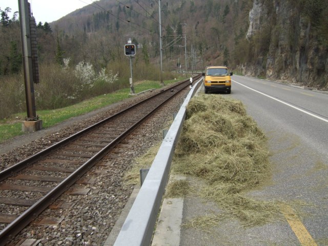 270_3.jpg
