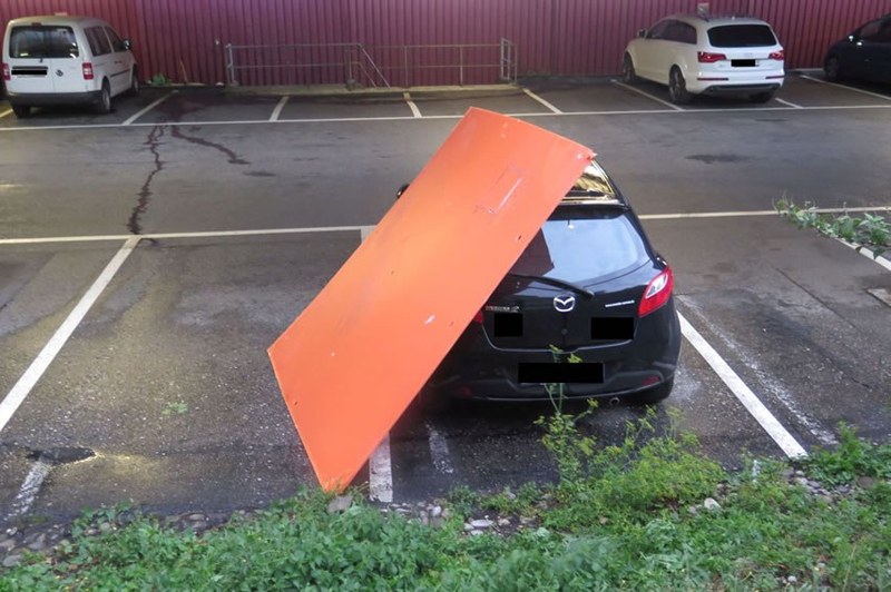 331_2.jpg