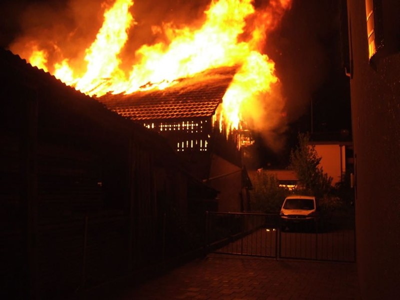335_3.jpg