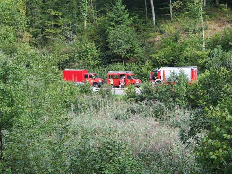csm_anwil_370_mann_im_sumpf_personenrettung_1_1209.jpg
